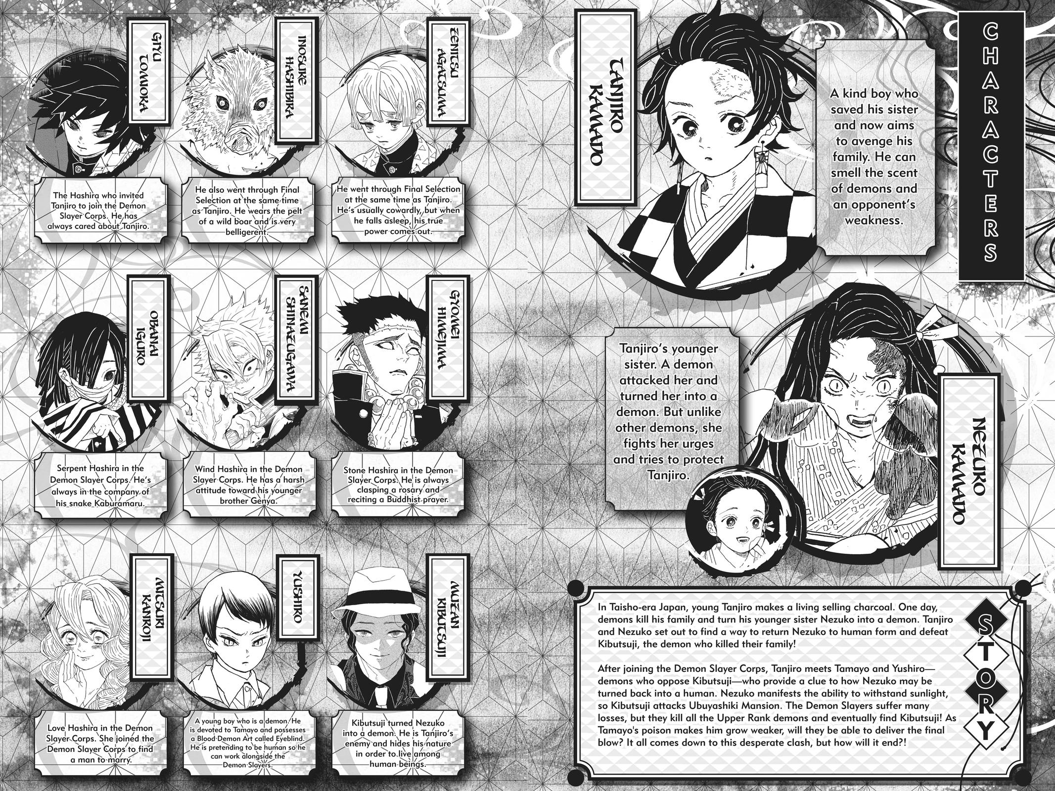 Demon Slayer: Kimetsu no Yaiba, chapter 197, image 5