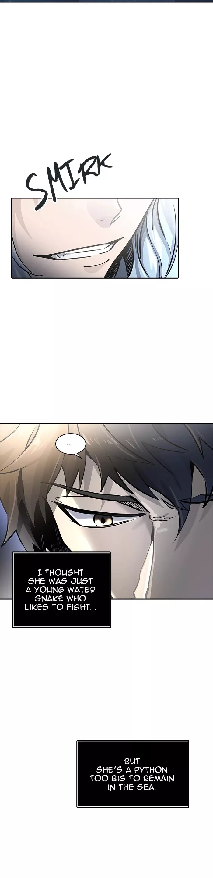 Tower of God, chapter 517, image 3