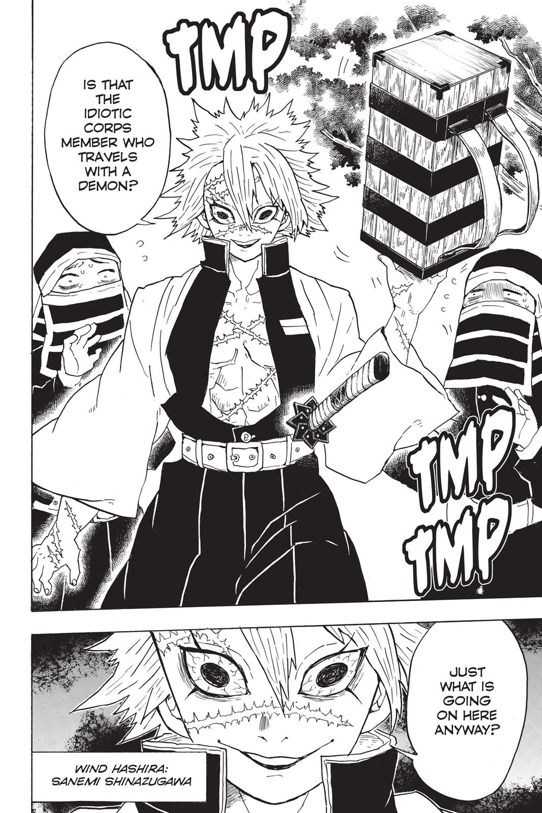 Demon Slayer: Kimetsu no Yaiba, chapter 45, image 13