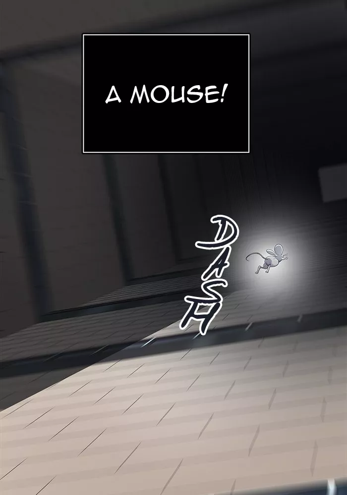 Tower of God, chapter 502, image 70