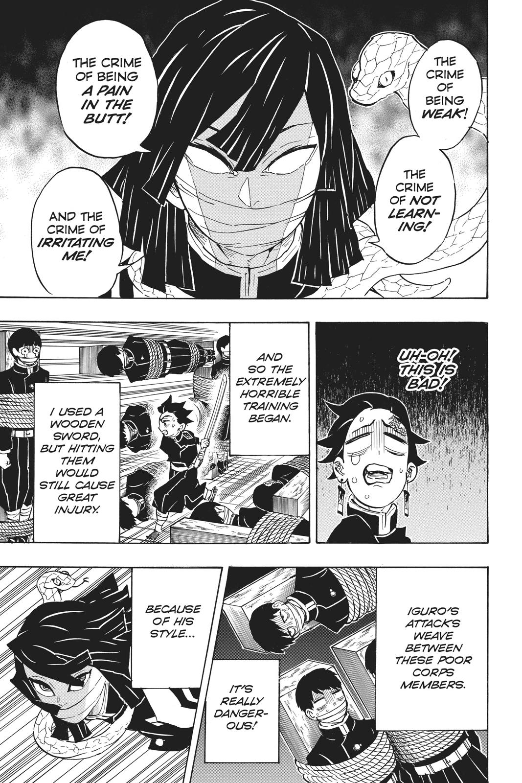 Demon Slayer: Kimetsu no Yaiba, chapter 132, image 9