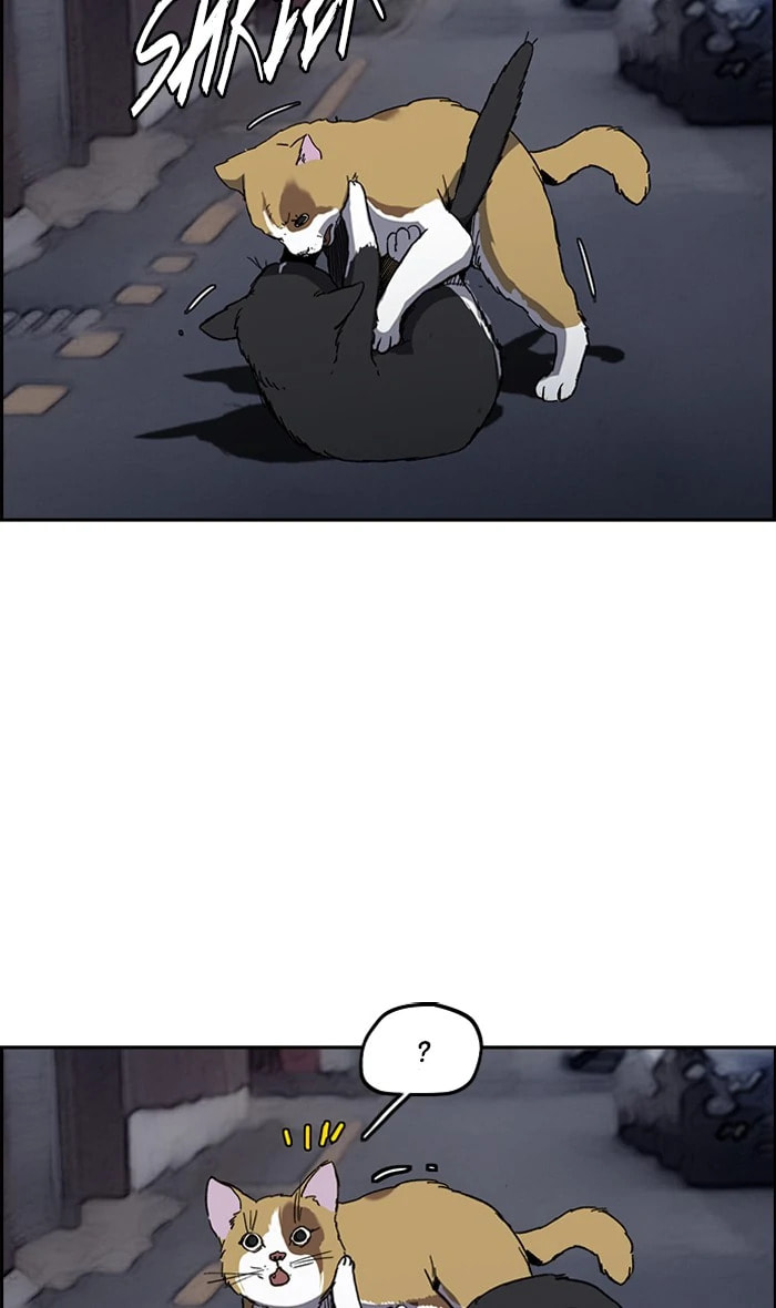 Wind Breaker, chapter 237, image 2