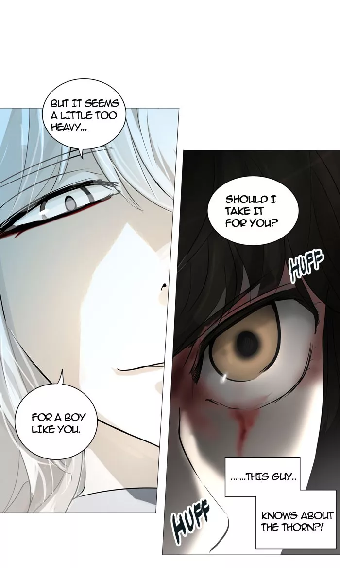 Tower of God, chapter 244, image 15
