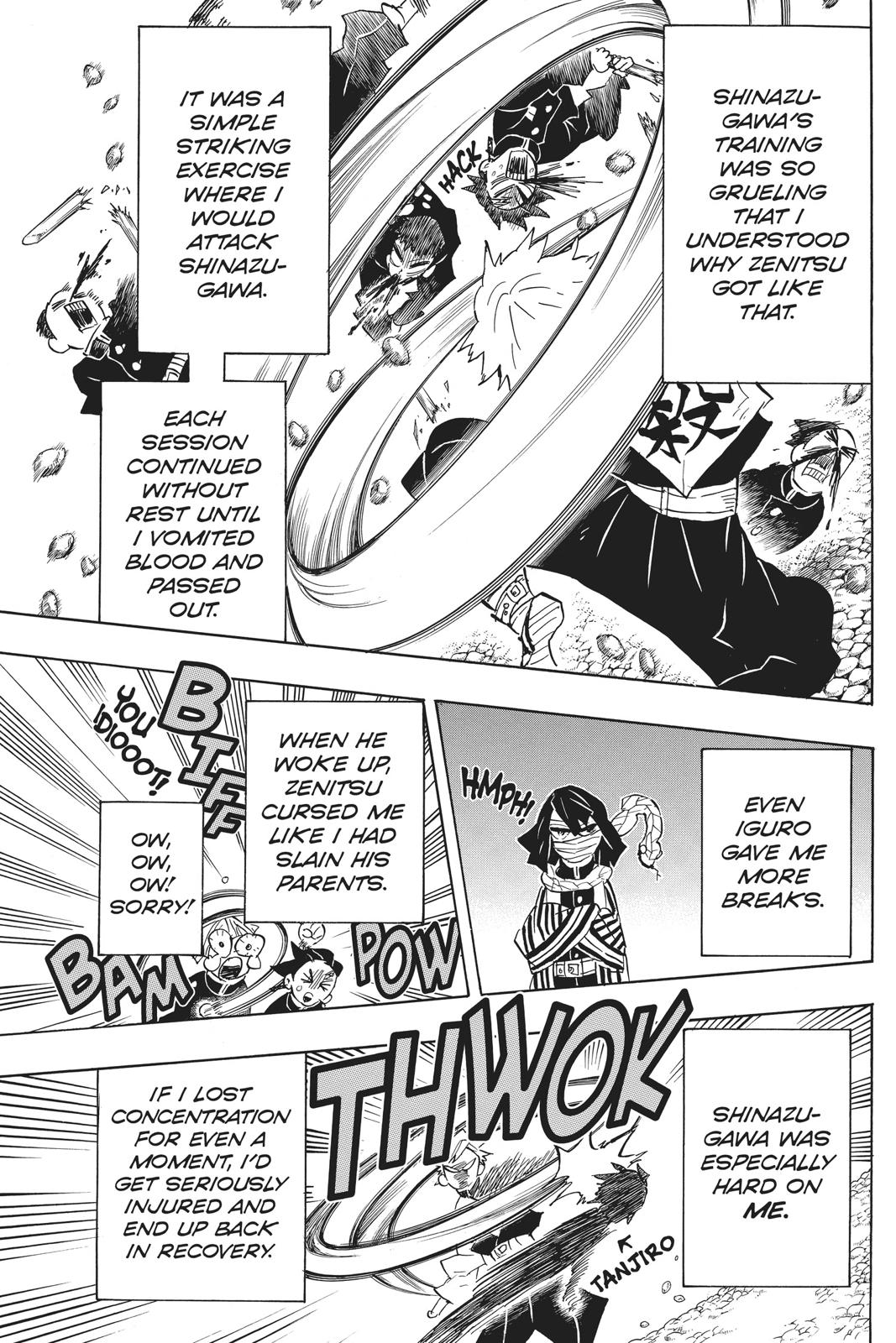 Demon Slayer: Kimetsu no Yaiba, chapter 132, image 17