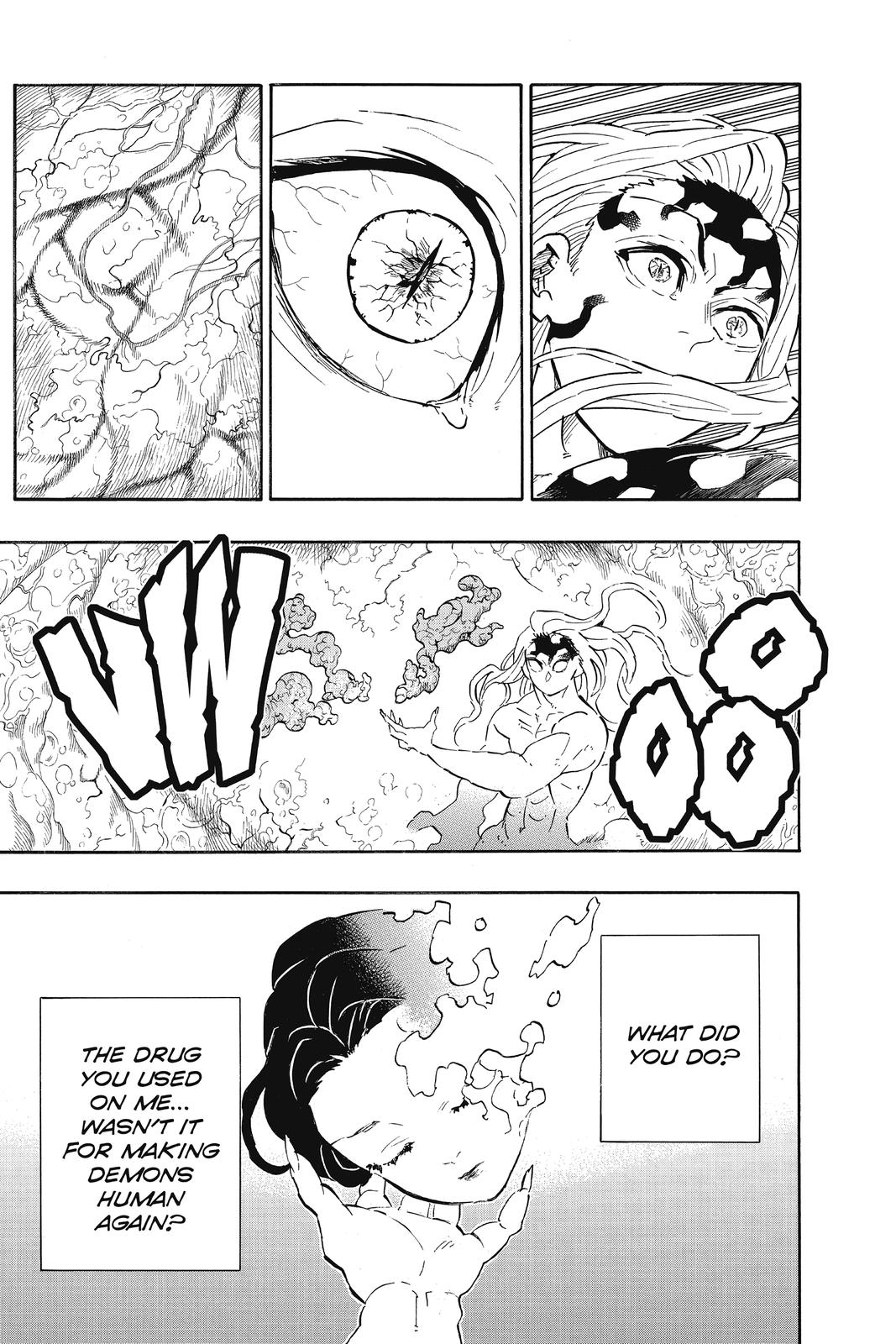 Demon Slayer: Kimetsu no Yaiba, chapter 193, image 14