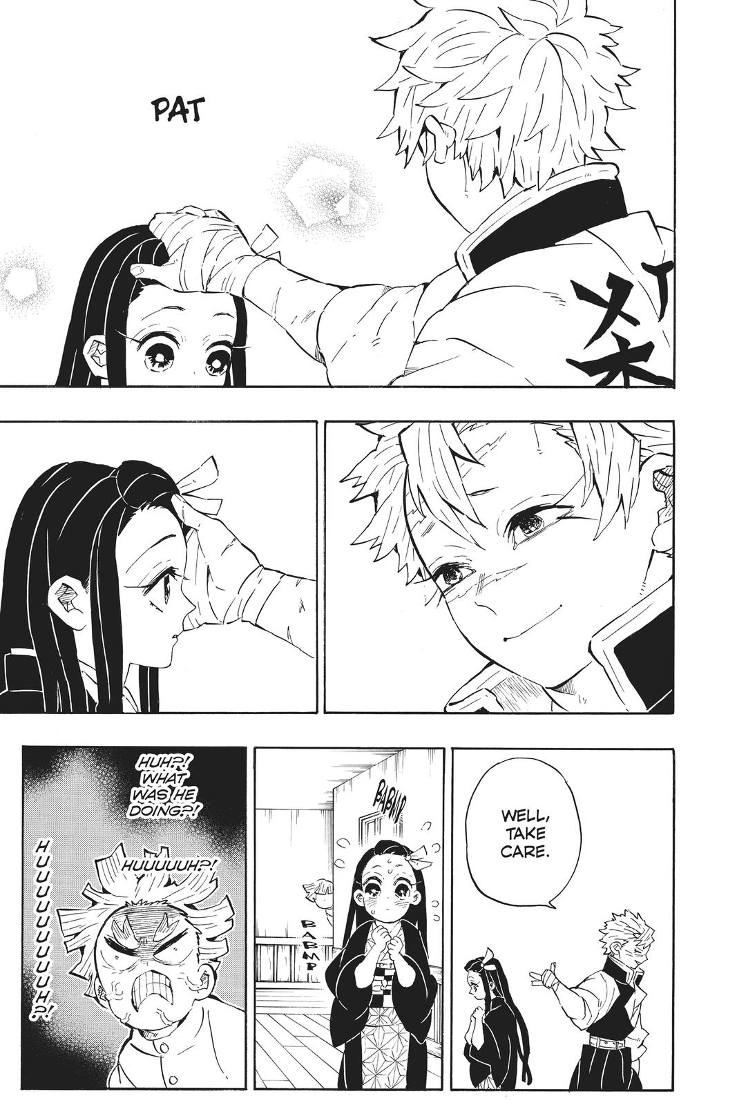Demon Slayer: Kimetsu no Yaiba, chapter 204, image 22