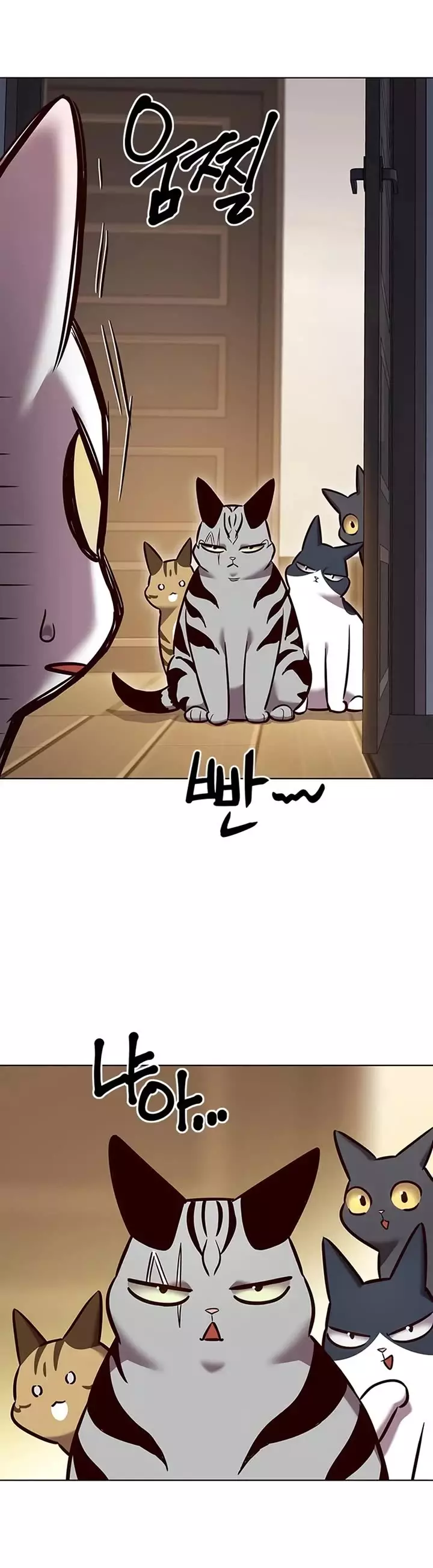 Eleceed, chapter 262, image 41