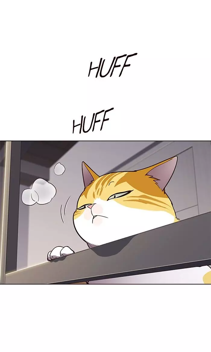 Eleceed, chapter 64, image 51