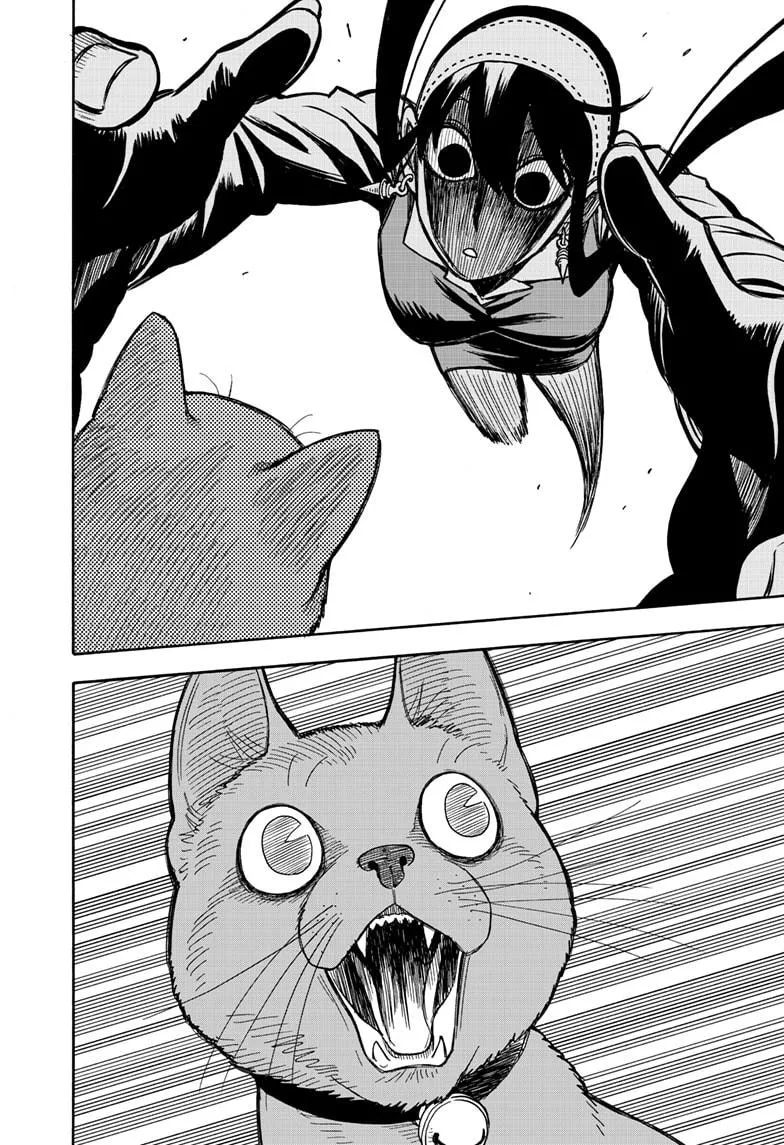 SPY x FAMILY, chapter 43, image 16
