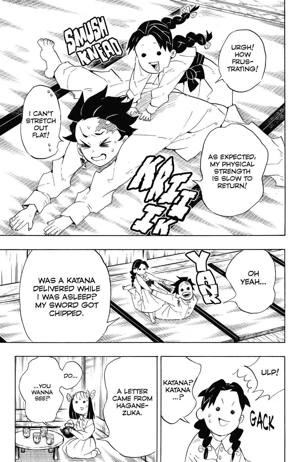 Demon Slayer: Kimetsu no Yaiba, chapter 100, image 13