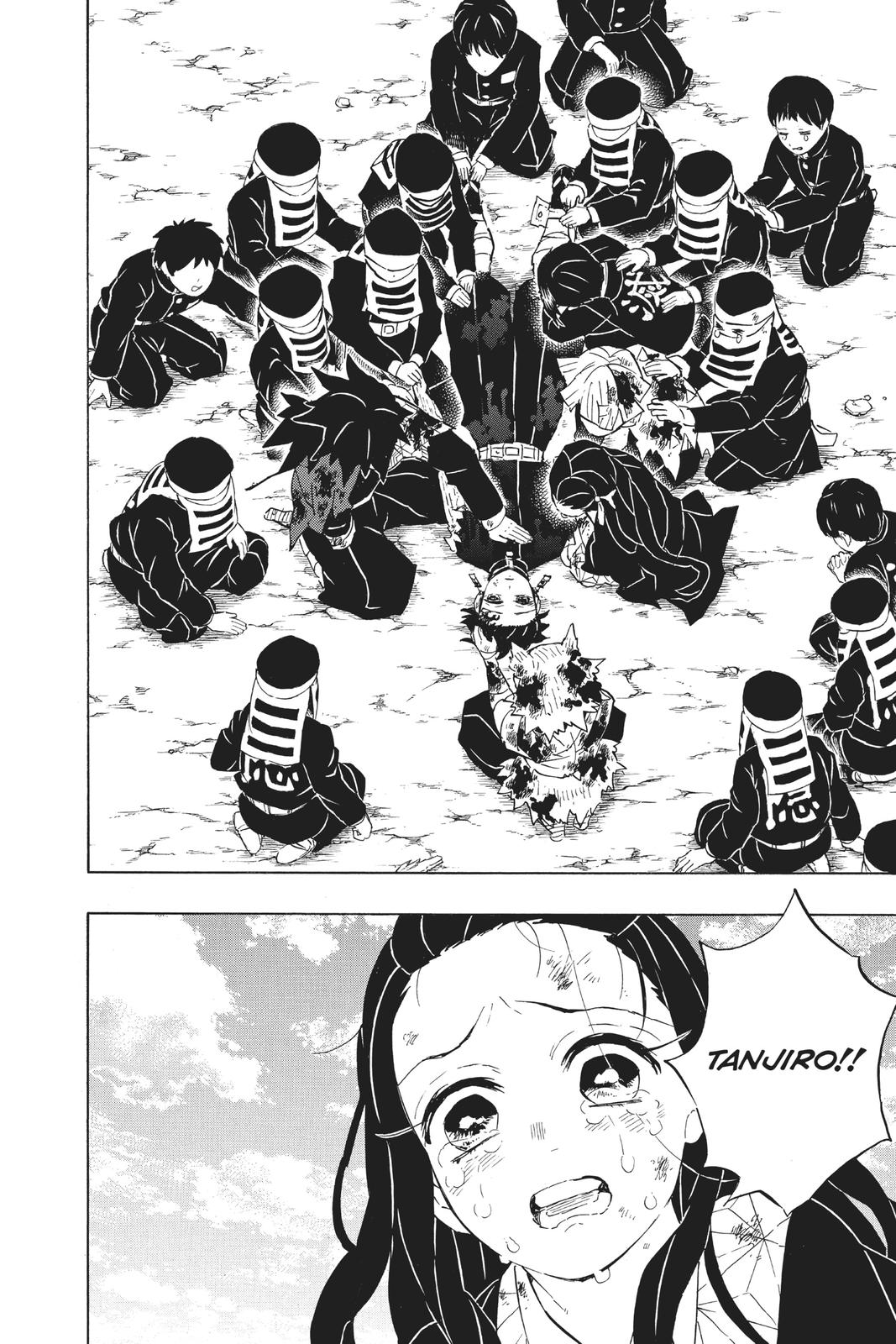 Demon Slayer: Kimetsu no Yaiba, chapter 203, image 16