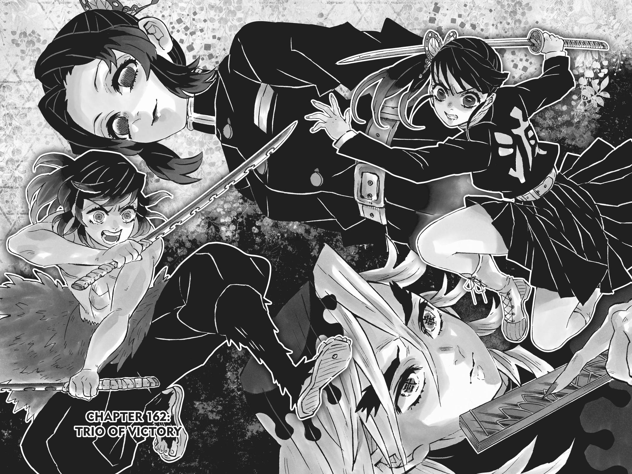 Demon Slayer: Kimetsu no Yaiba, chapter 162, image 2