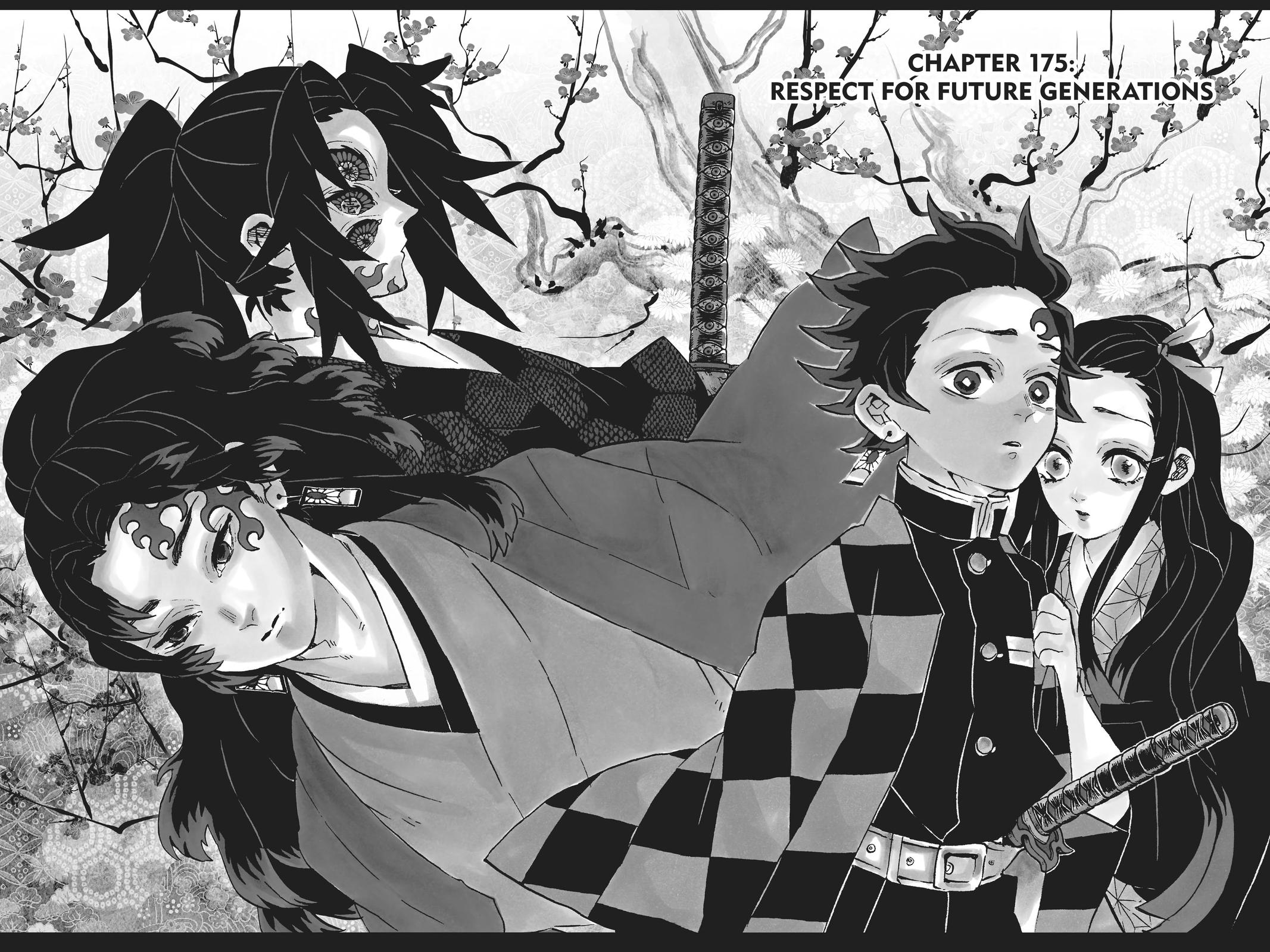 Demon Slayer: Kimetsu no Yaiba, chapter 175, image 2