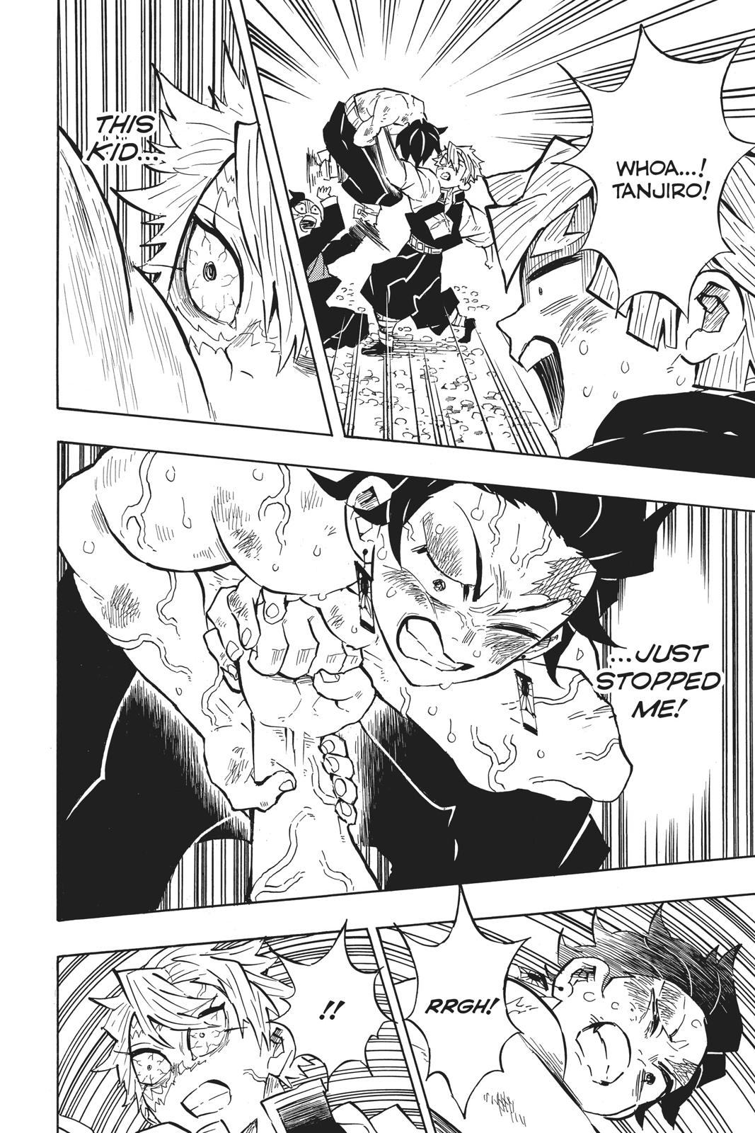 Demon Slayer: Kimetsu no Yaiba, chapter 133, image 12