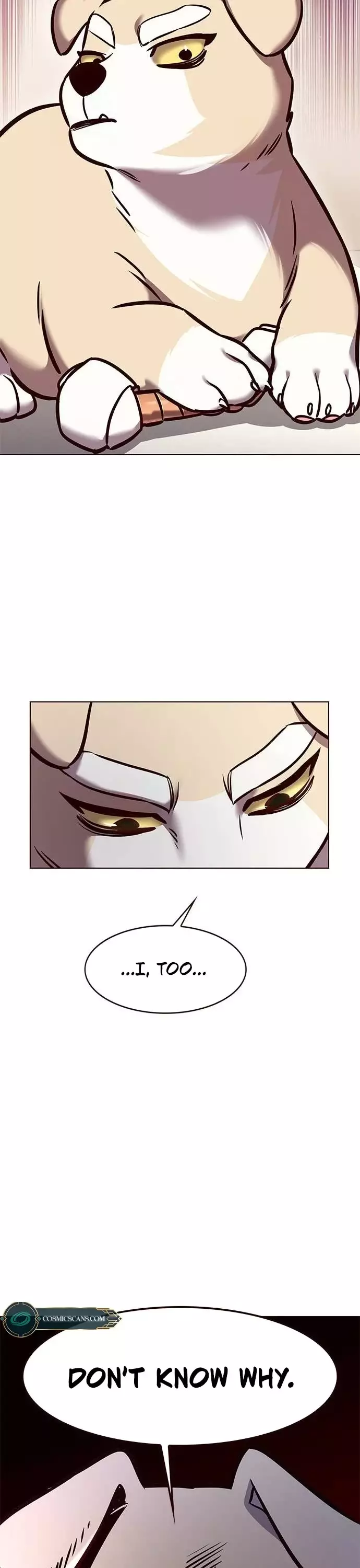 Eleceed, chapter 285, image 11