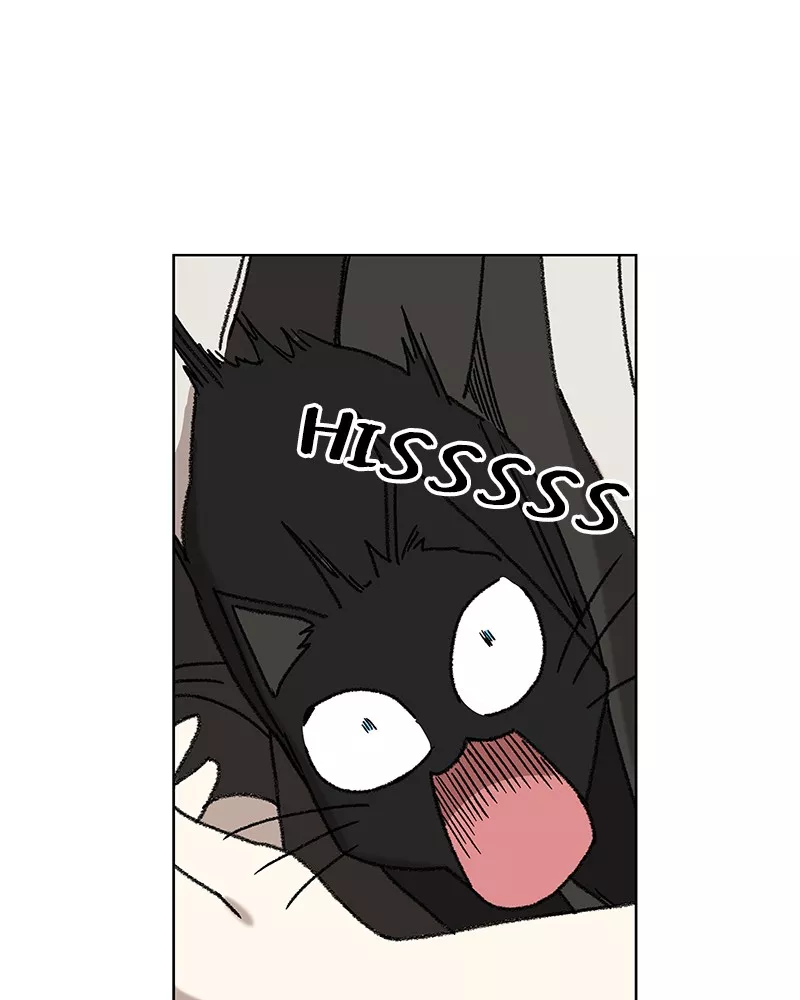 The Boxer, chapter 61, image 73