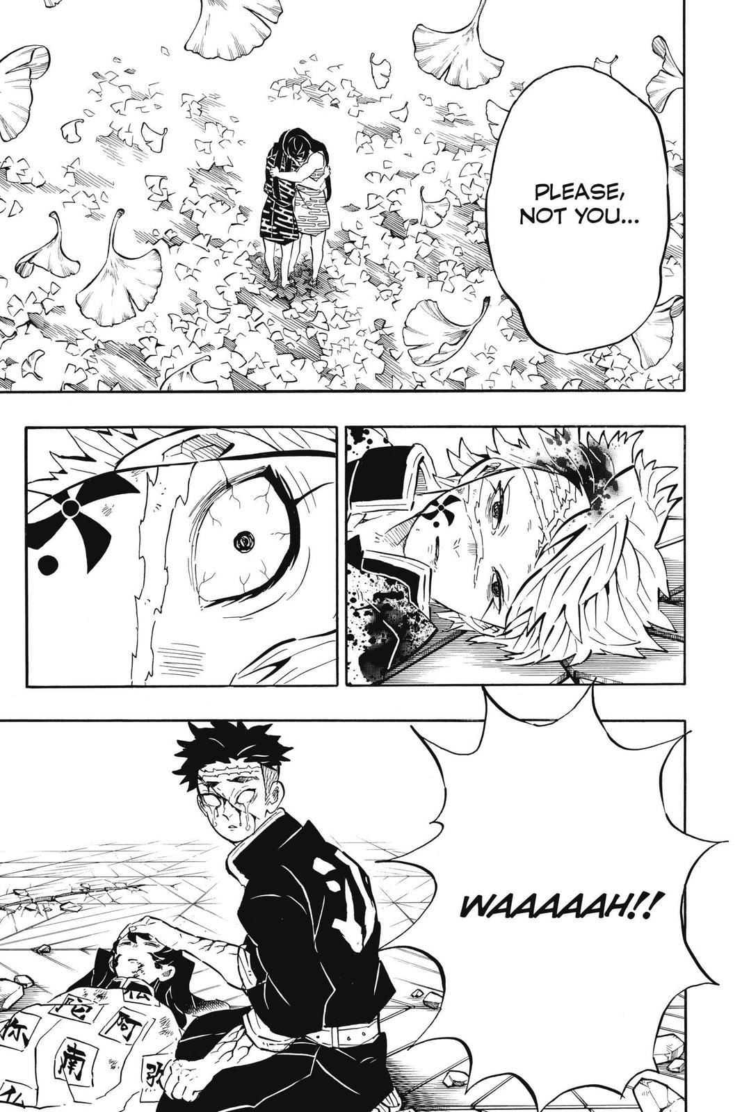 Demon Slayer: Kimetsu no Yaiba, chapter 179, image 19