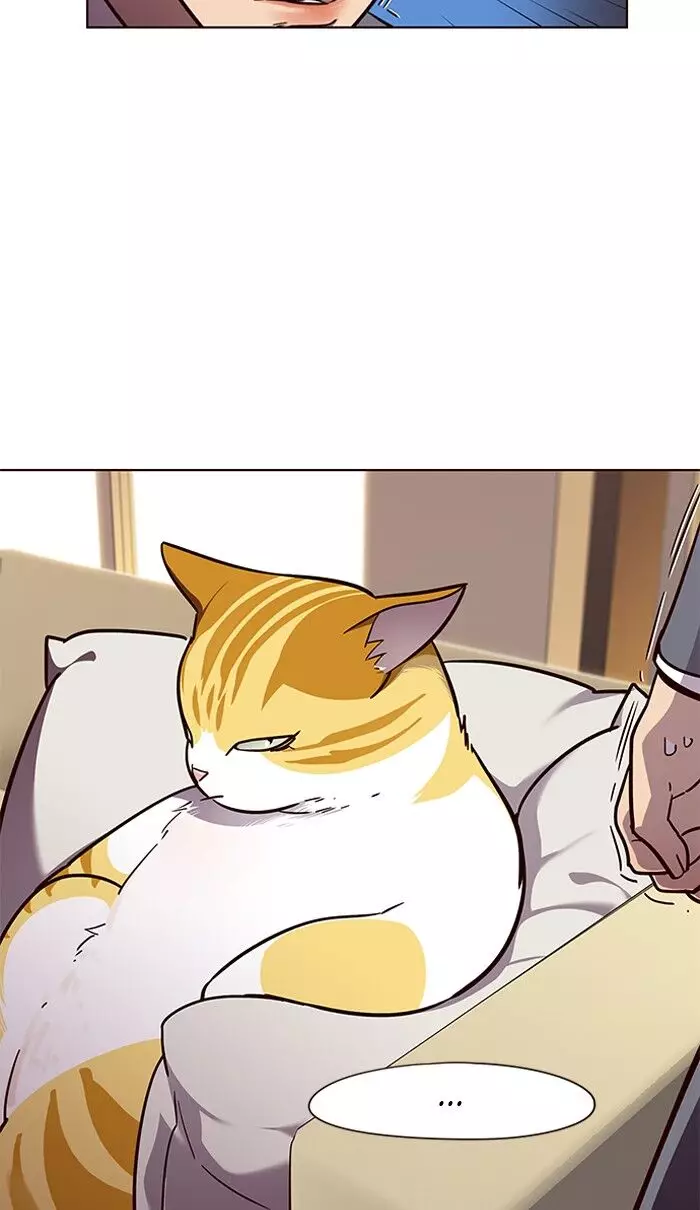 Eleceed, chapter 49, image 55