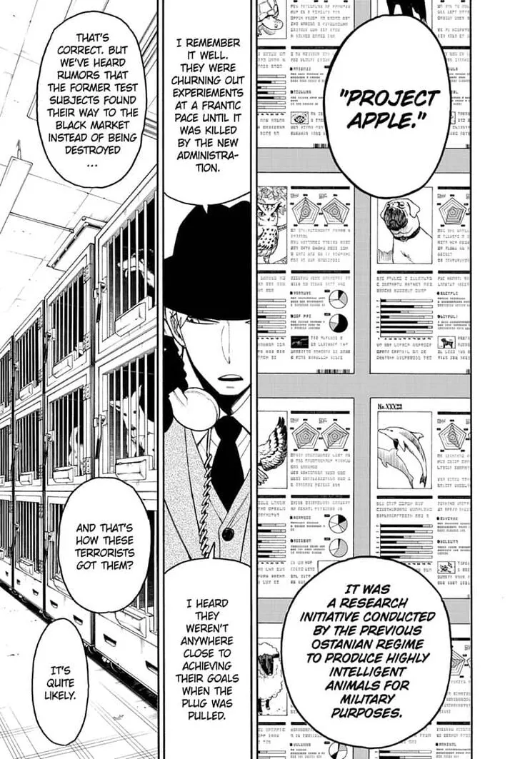 SPY x FAMILY, chapter 19, image 7