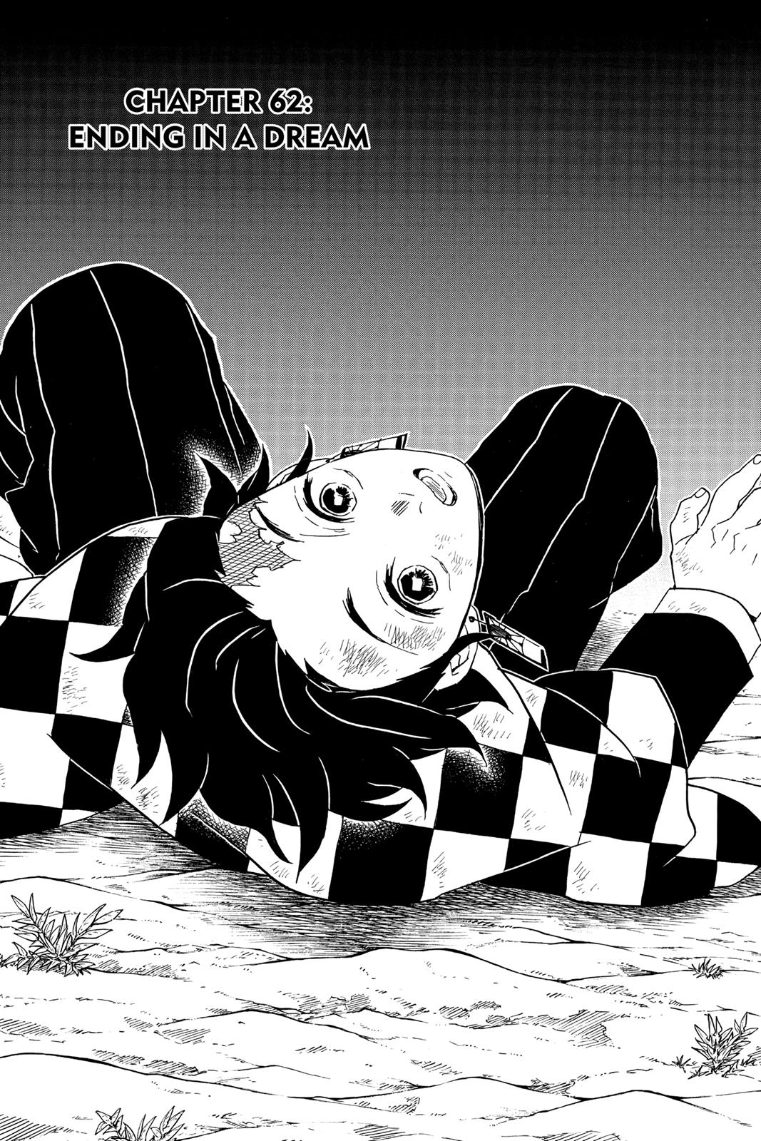 Demon Slayer: Kimetsu no Yaiba, chapter 62, image 7