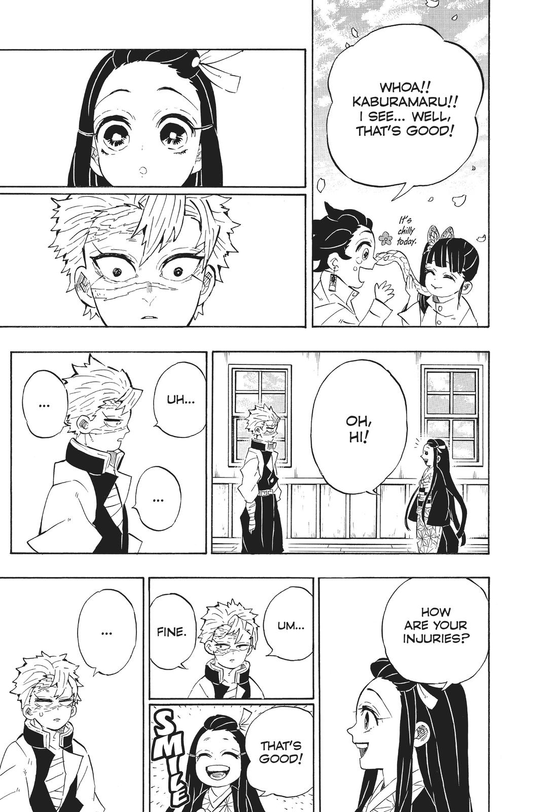 Demon Slayer: Kimetsu no Yaiba, chapter 204, image 20