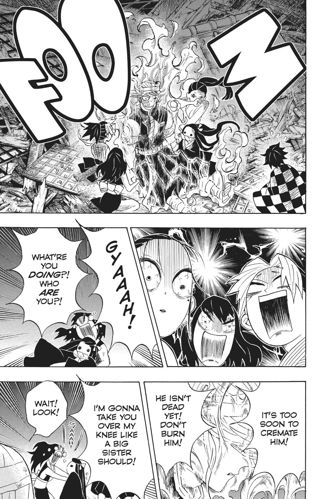 Demon Slayer: Kimetsu no Yaiba, chapter 95, image 13