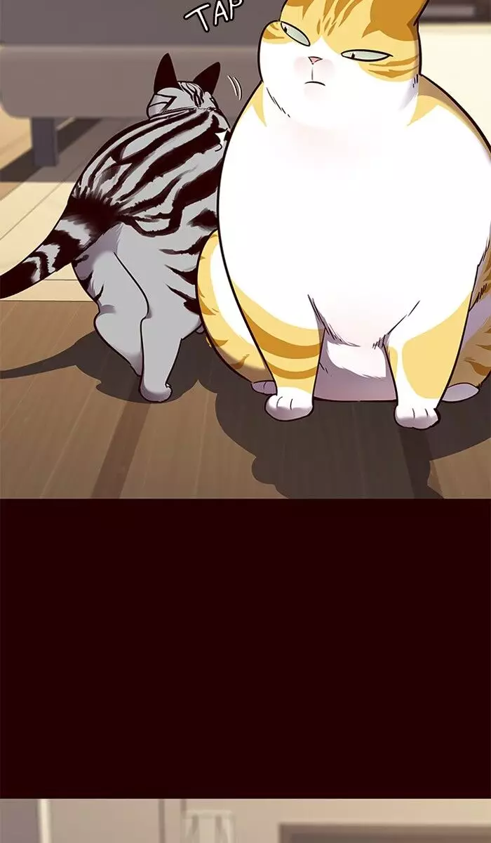 Eleceed, chapter 67, image 41