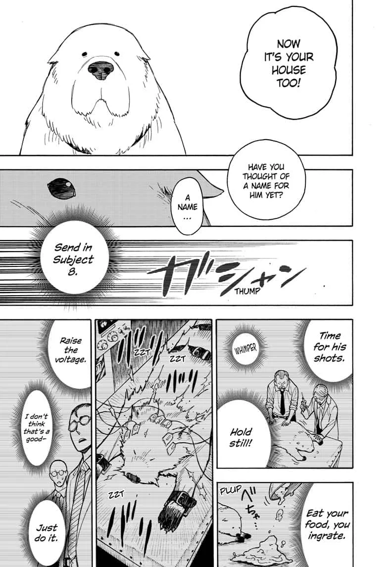 SPY x FAMILY, chapter 22, image 25