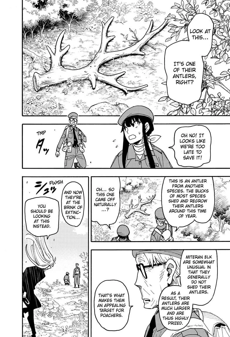 SPY x FAMILY, chapter 116, image 8