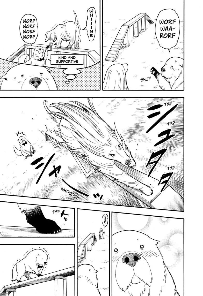 SPY x FAMILY, chapter 62.5, image 7