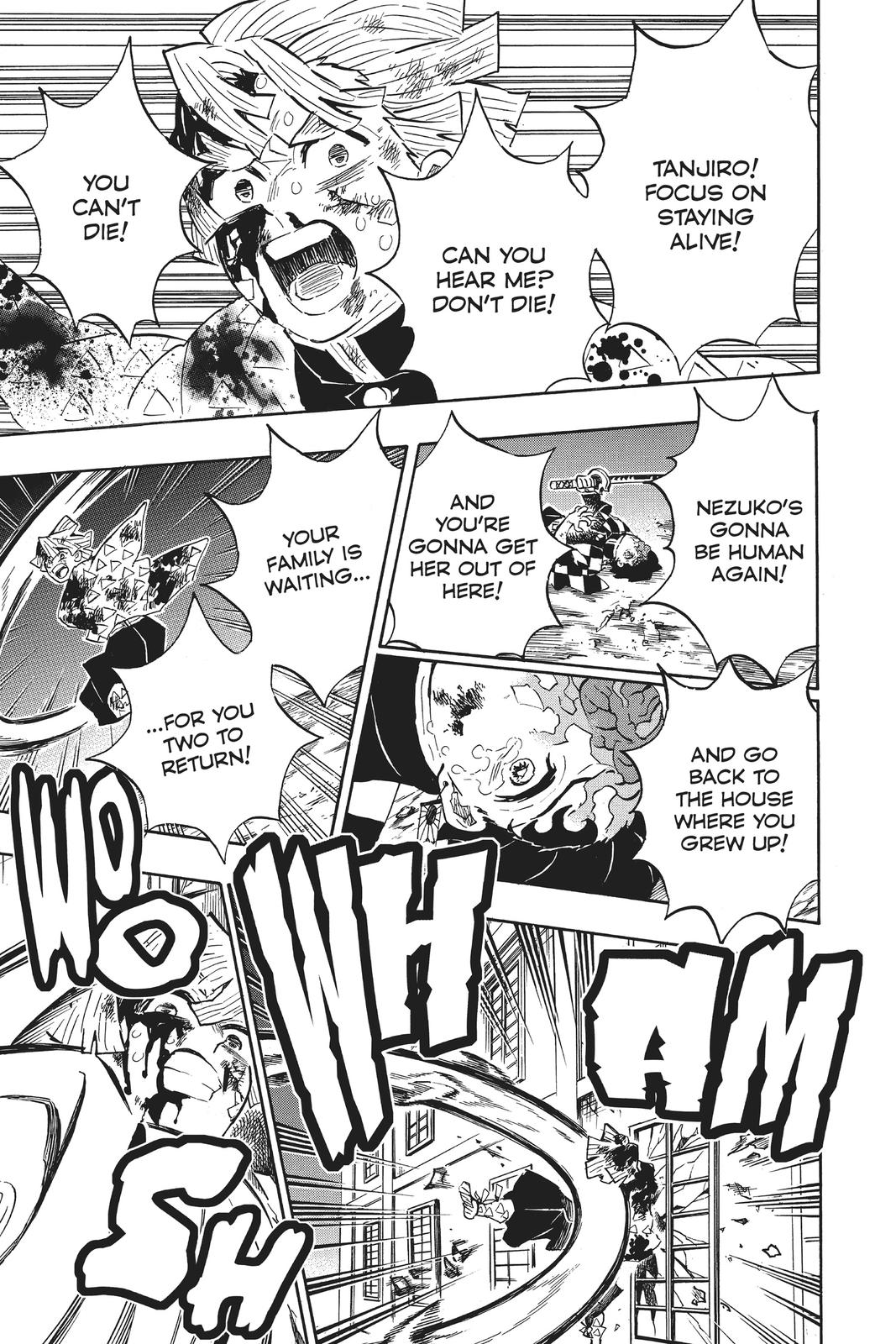 Demon Slayer: Kimetsu no Yaiba, chapter 197, image 20