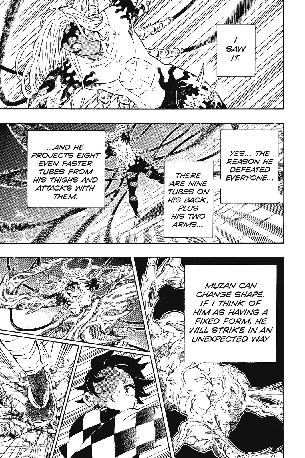Demon Slayer: Kimetsu no Yaiba, chapter 192, image 17