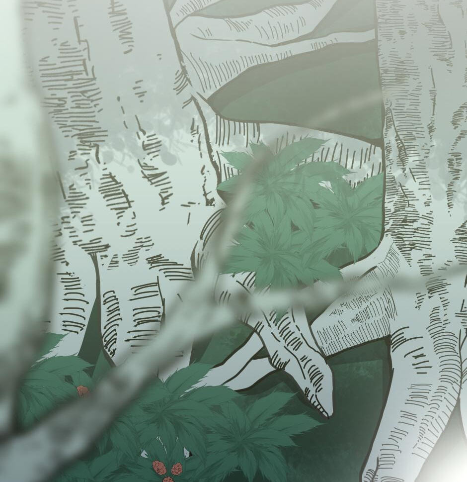 The Beginning After the End, chapter 19, image 2