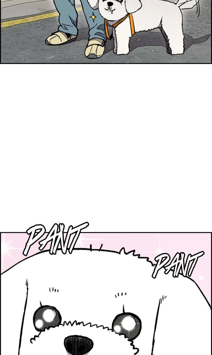 Wind Breaker, chapter 276, image 52