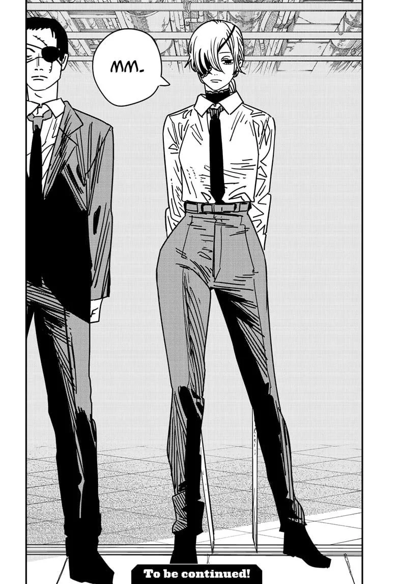 Chainsaw Man, chapter 161, image 16