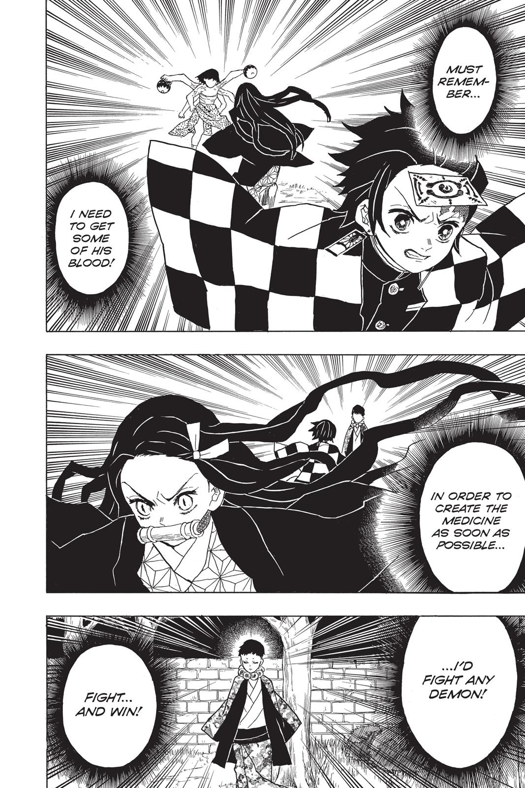 Demon Slayer: Kimetsu no Yaiba, chapter 17, image 12