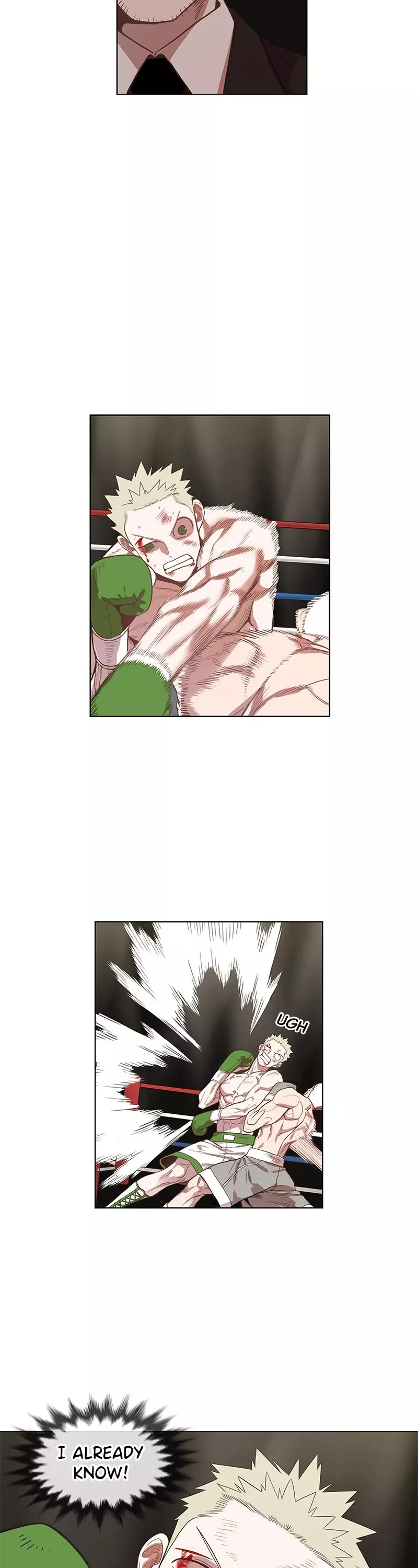 The Boxer, chapter 132, image 25