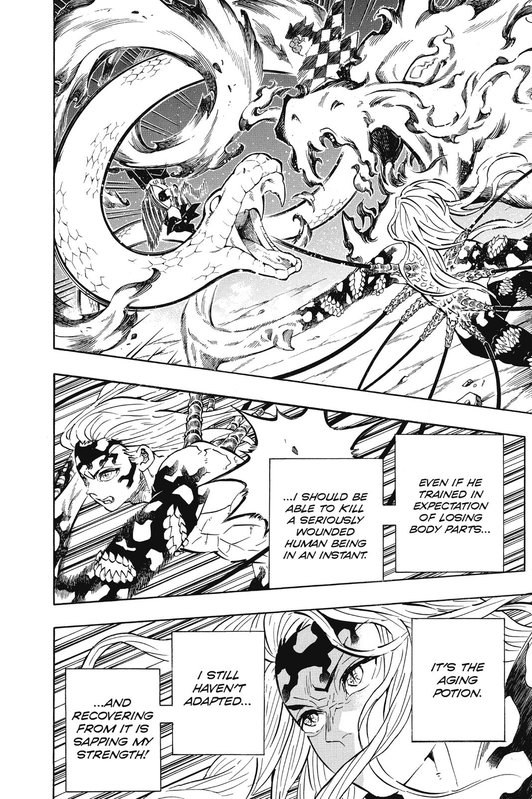 Demon Slayer: Kimetsu no Yaiba, chapter 194, image 16