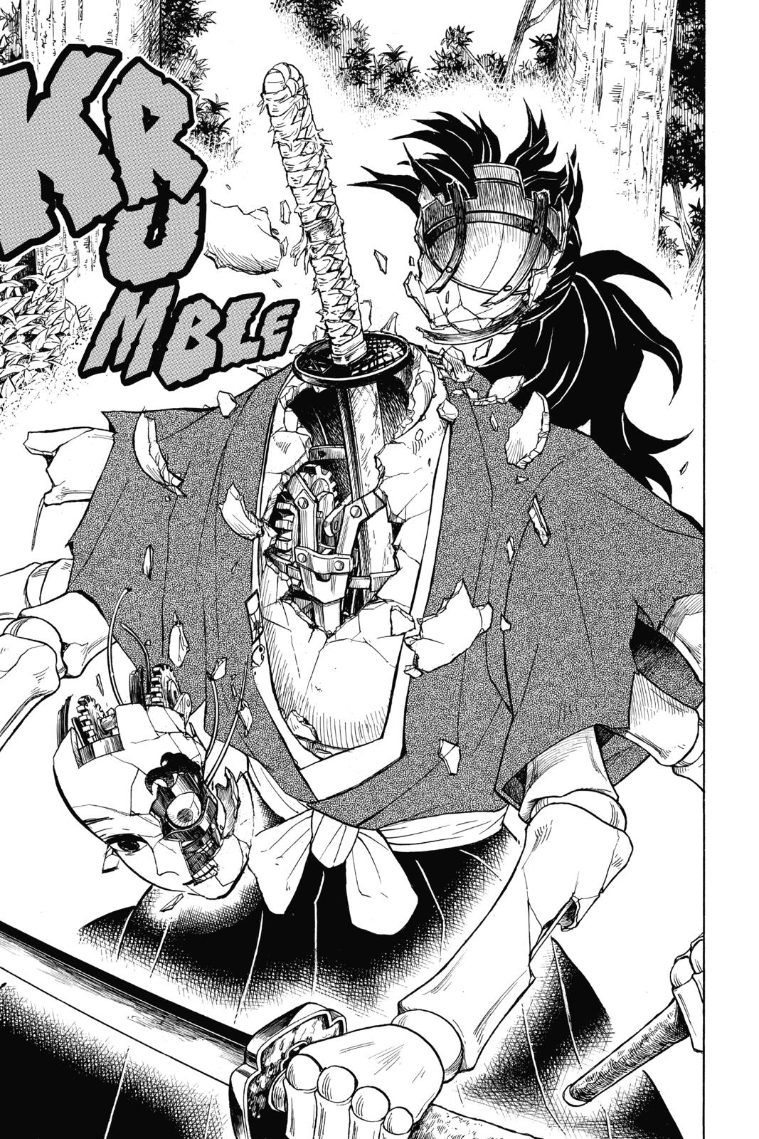 Demon Slayer: Kimetsu no Yaiba, chapter 104, image 19