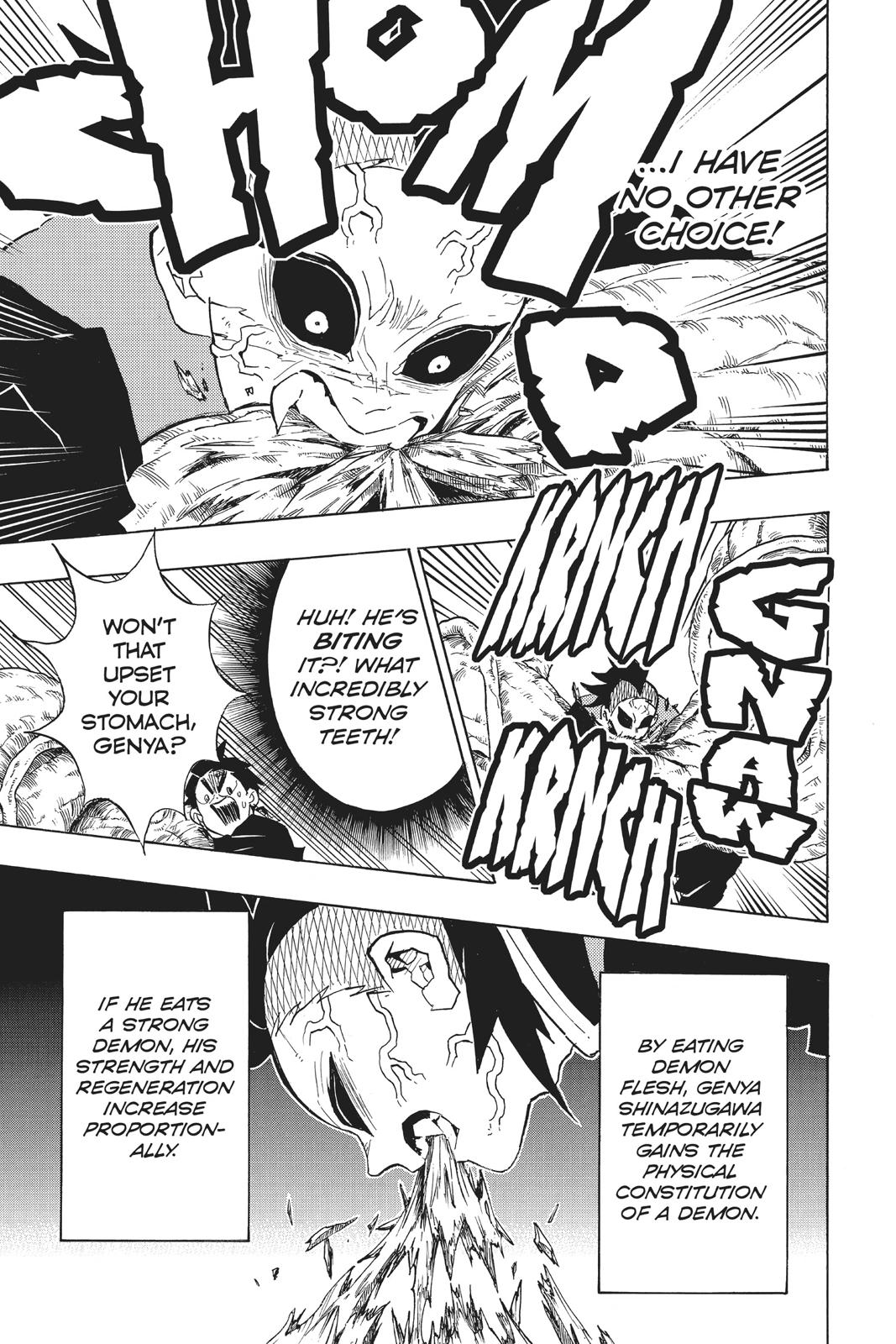 Demon Slayer: Kimetsu no Yaiba, chapter 124, image 11