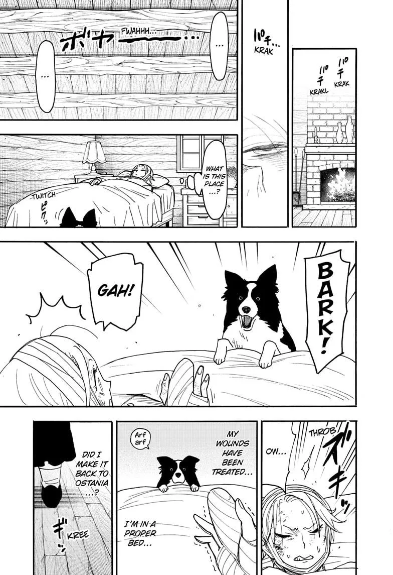 SPY x FAMILY, chapter 100, image 7