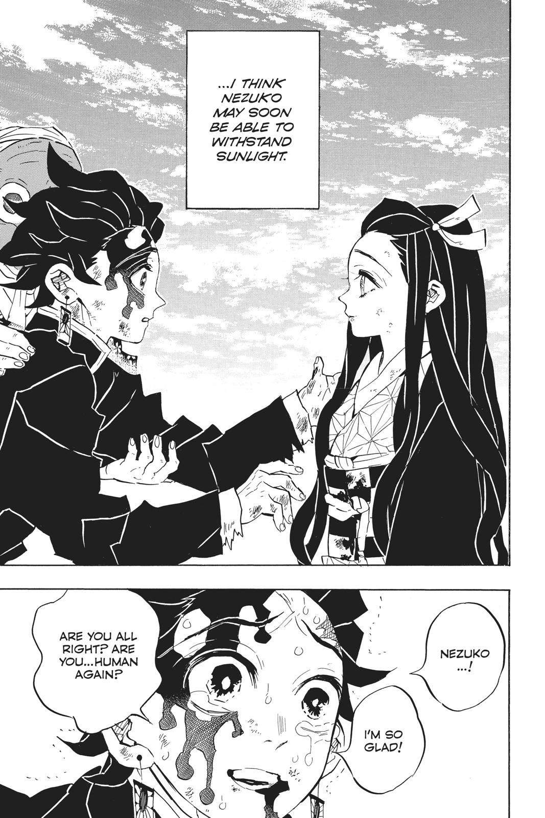 Demon Slayer: Kimetsu no Yaiba, chapter 127, image 3
