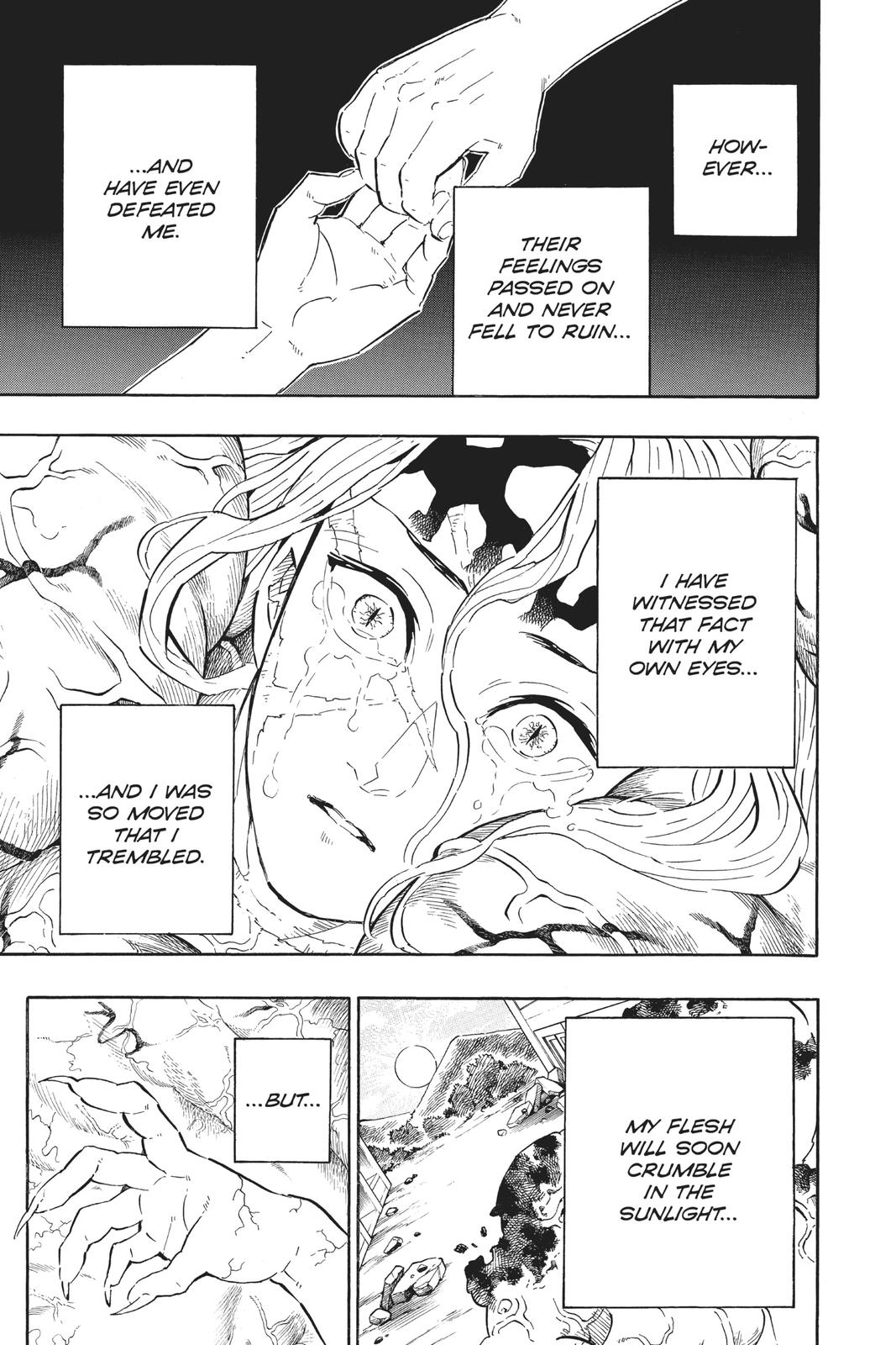 Demon Slayer: Kimetsu no Yaiba, chapter 201, image 3