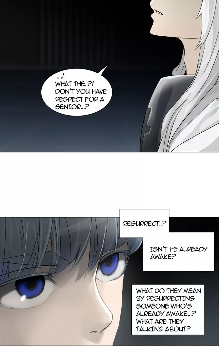 Tower of God, chapter 245, image 29