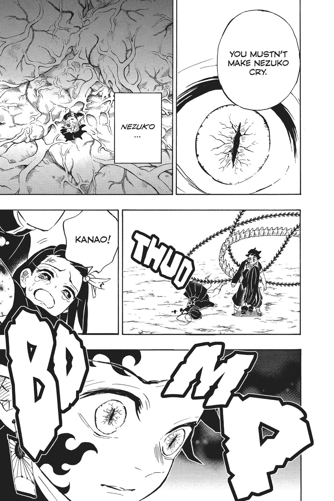 Demon Slayer: Kimetsu no Yaiba, chapter 202, image 19