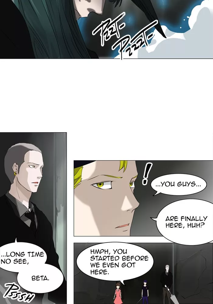 Tower of God, chapter 221, image 14