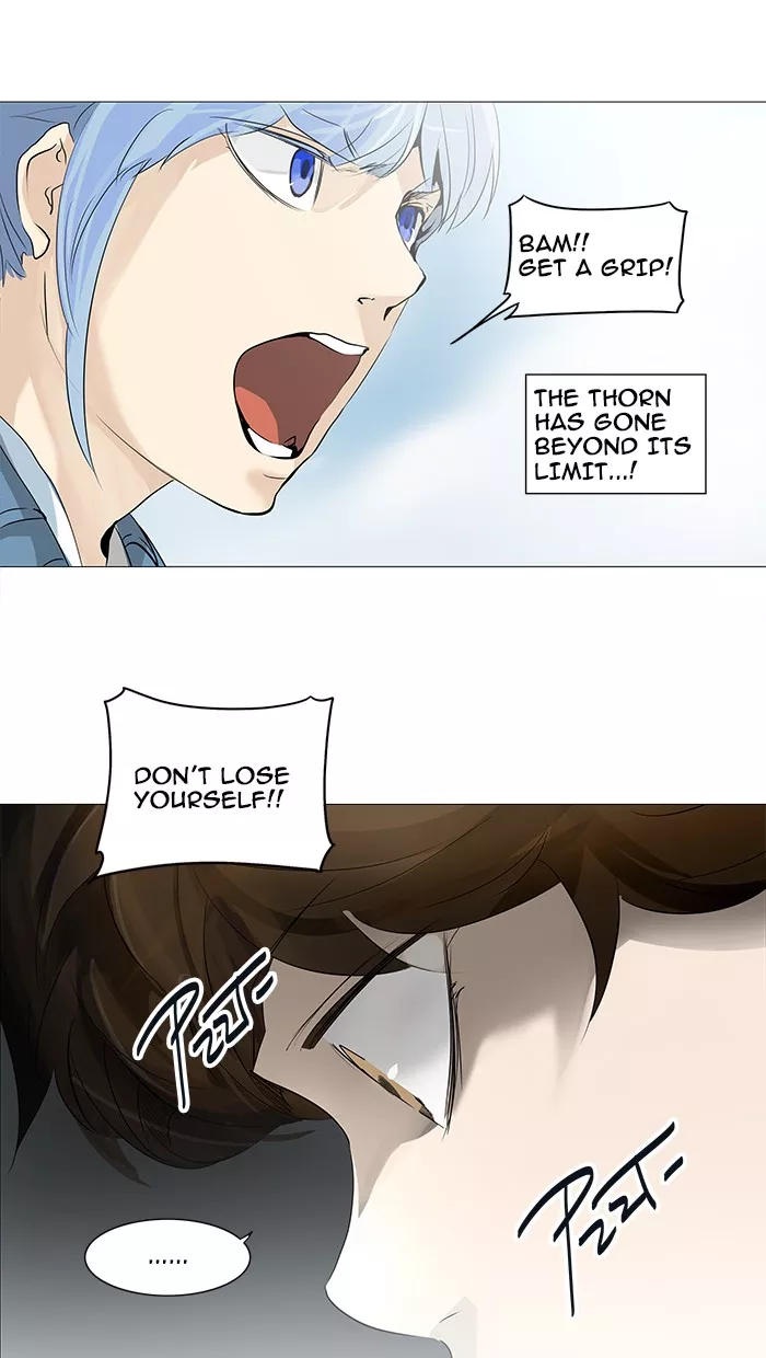 Tower of God, chapter 227, image 25