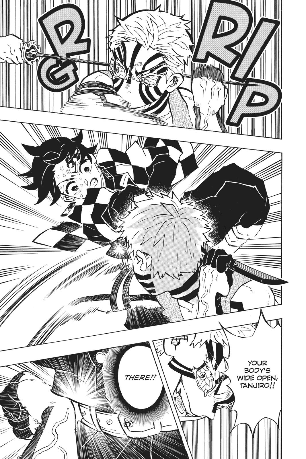 Demon Slayer: Kimetsu no Yaiba, chapter 150, image 17