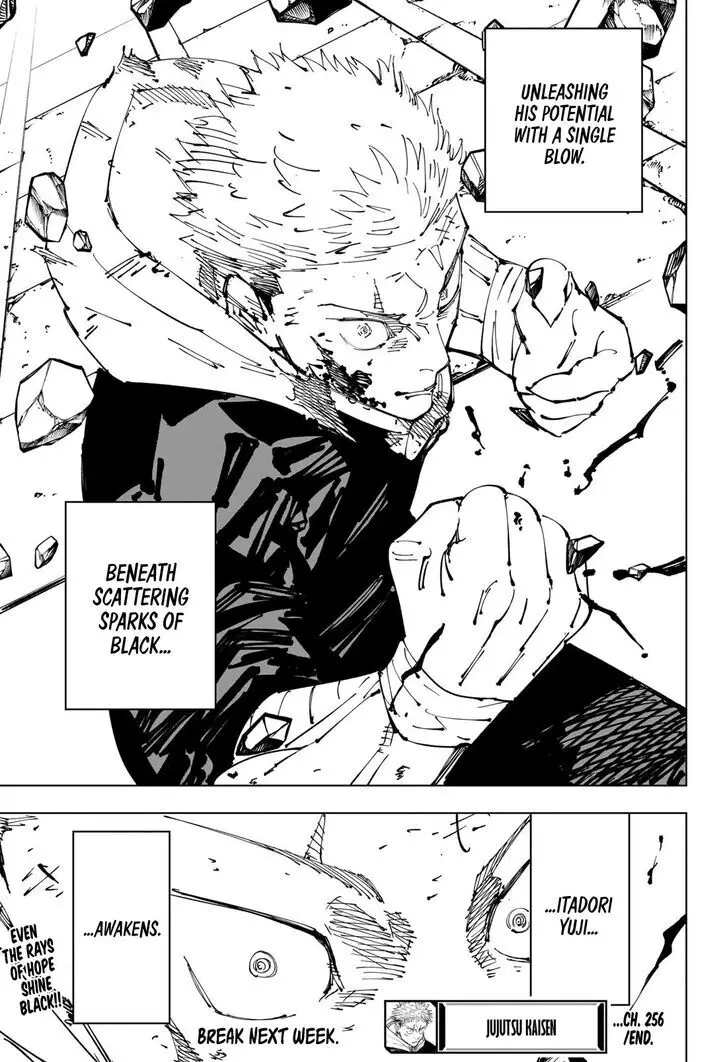 Jujutsu Kaisen, chapter 256, image 20
