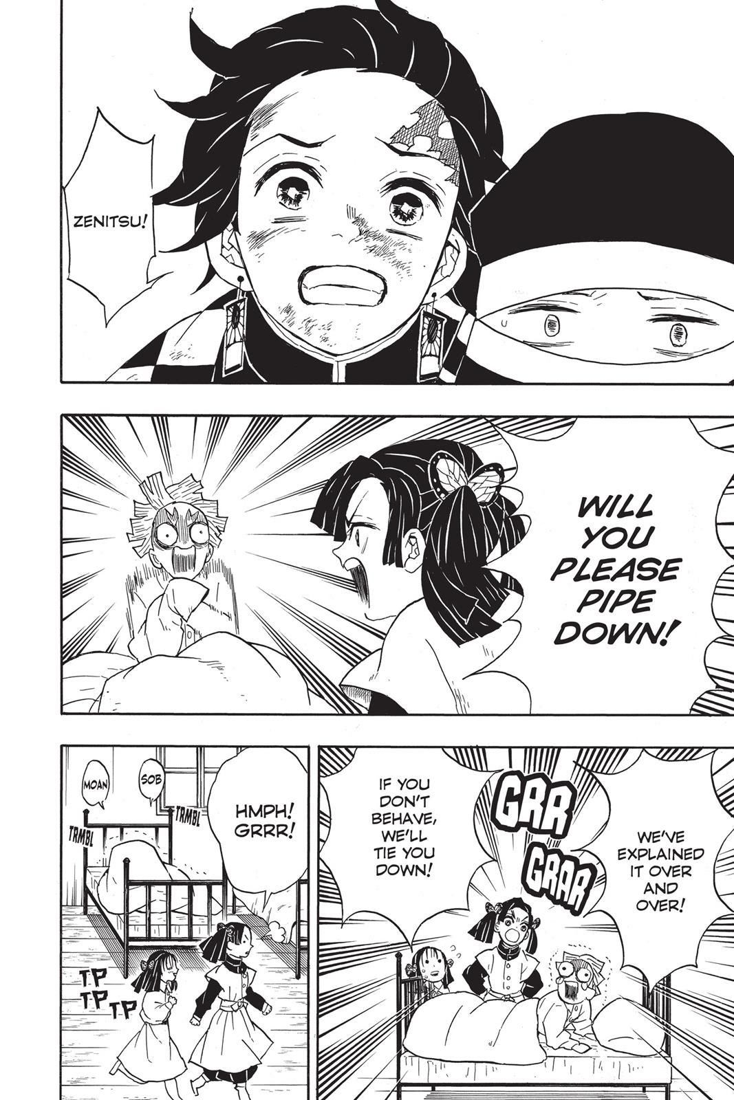 Demon Slayer: Kimetsu no Yaiba, chapter 48, image 12